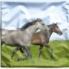 Kussenhoes 45x45 Cm - Paarden - Dieren - Gras - Katoen / Polyester - Voor Binnen -Pillowmonkey 1200x1151 68