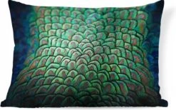 Sierkussens - Kussen - De Gedetailleerde Vacht Van Een Groene Pauw - 50x30 Cm - Kussen Van Katoen -Pillowmonkey 1200x747 10