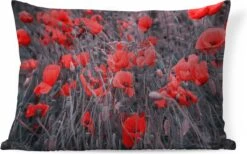 Sierkussens - Kussen - Rode Klaprozen In Een Zwart Wit Afbeelding - 50x30 Cm - Kussen Van Katoen
