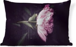 Sierkussens - Kussen - Pioenroos Met Dauwdruppels - 60x40 Cm - Kussen Van Katoen