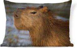Sierkussens - Kussen - Een Close Up Van Het Hoofd Van Een Capibara - 50x30 Cm - Kussen Van Katoen -Pillowmonkey 1200x747 31