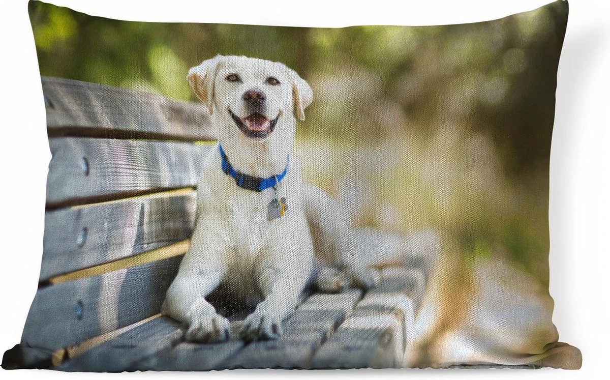 Sierkussen Honden Voor Binnen - Labrador Retriever Op Een Bankje - 60x40 Cm - Rechthoekig Binnenkussen Van Katoen 11 Sierkussen Honden Voor Binnen - Labrador Retriever Op Een Bankje - 60x40 Cm - Rechthoekig Binnenkussen Van Katoen - Afbeelding 9