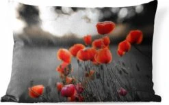 Buitenkussens - Tuin - Rode Klaprozen Tegen Zwarte Met Witte Achtergrond - 60x40 Cm