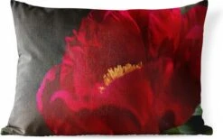 Buitenkussens - Tuin - Een Afbeelding Van Een Rode Pioenroos - 50x30 Cm