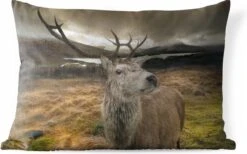 Buitenkussens - Tuin - Hert Van Nabij Weergeven - 60x40 Cm