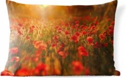 Buitenkussens - Tuin - Oranje Gloed Over De Klaprozen In Het Veld - 60x40 Cm