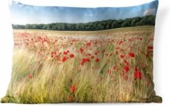 Buitenkussens - Tuin - Wilde Klaprozen In Een Groot Veld - 60x40 Cm
