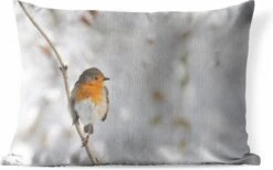 Buitenkussens - Tuin - Roodborstje Op Een Dunne Tak In De Winter - 50x30 Cm