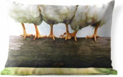 Buitenkussens - Tuin - Foto Kippenpoten Afdruk - 50x30 Cm