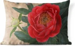 Buitenkussens - Tuin - Een Rode Pioenroos En Een Knop - 60x40 Cm