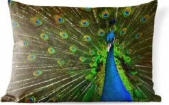 Buitenkussens - Tuin - Een Weergaloze Foto Van Een Groene Pauw Met Gespreide Staart - 60x40 Cm