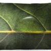 Buitenkussens - Tuin - Foto Van Waterdruppel Op Een Botanisch Blad - 60x40 Cm -Pillowmonkey 1200x747 63