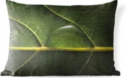 Buitenkussens - Tuin - Foto Van Waterdruppel Op Een Botanisch Blad - 60x40 Cm