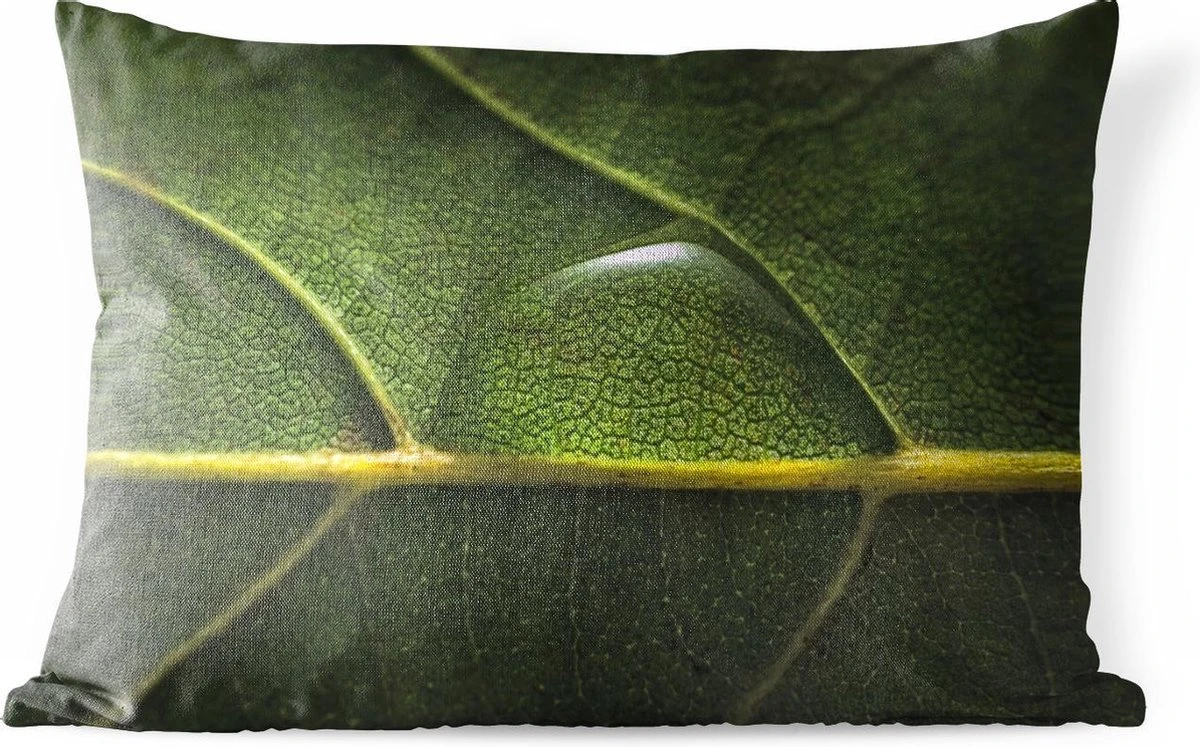 Buitenkussens - Tuin - Foto Van Waterdruppel Op Een Botanisch Blad - 60x40 Cm 3 Buitenkussens - Tuin - Foto Van Waterdruppel Op Een Botanisch Blad - 60x40 Cm