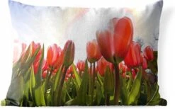 Buitenkussens - Tuin - Rode Tulpen In De Zon - 50x30 Cm