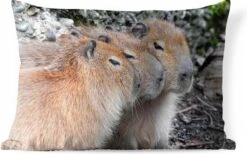 Sierkussen Capibara Voor Buiten - Drie Capibaras Die Op Een Rij Rusten - 50x30 Cm - Rechthoekig Weerbestendig Tuinkussen / Tuinmeubelkussen Van Polyester