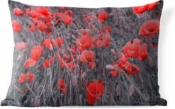 Buitenkussens - Tuin - Rode Klaprozen In Een Zwart Wit Afbeelding - 60x40 Cm