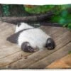 Buitenkussens - Tuin - Slapende Baby Panda - 50x30 Cm 2 Buitenkussens - Tuin - Slapende Baby Panda - 50x30 Cm -Pillowmonkey 1200x747 75