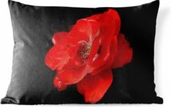Buitenkussens - Tuin - Een Rode Pioenroos Op Een Zwarte Achtergrond - 50x30 Cm