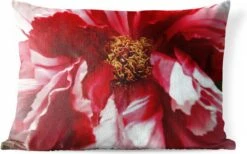 Buitenkussens - Tuin - Een Uitgebloeide Rode Pioenroos - 60x40 Cm