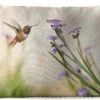 Buitenkussens - Tuin - Wondermooie Kolibrie Bezoekt De Wilde Bloemen In Het Voorjaar - 50x30 Cm -Pillowmonkey 1200x747 84