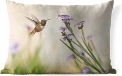 Buitenkussens - Tuin - Wondermooie Kolibrie Bezoekt De Wilde Bloemen In Het Voorjaar - 50x30 Cm