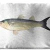 Buitenkussens - Tuin - Goudharder Vis Op Een Witte Achtergrond - 50x30 Cm -Pillowmonkey 1200x747 88