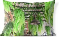 Buitenkussens - Tuin - Lampen En Planten - 60x40 Cm