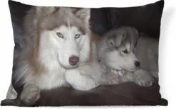 Sierkussens - Kussen - Grote Hond Met Een Kleine Pup Op De Bank - 50x30 Cm - Kussen Van Katoen -Pillowmonkey 1200x747 9