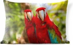 Buitenkussens - Tuin - Rode Papegaaien - 60x40 Cm