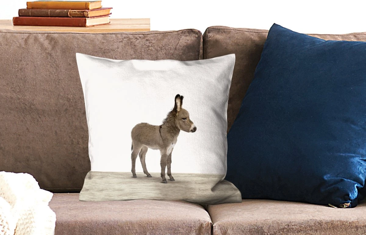 Kussenhoes 45x45 Cm - Dieren - Ezel - Grijs - Katoen / Polyester - Voor Binnen 4 Kussenhoes 45x45 Cm - Dieren - Ezel - Grijs - Katoen / Polyester - Voor Binnen - Afbeelding 2