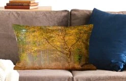 Kussenhoes 60x40 Cm - Gouden Bladeren In De Bossen Van Het Engelse Nationaal Park New Forest - Katoen / Polyester - Voor Binnen -Pillowmonkey 1200x771 208