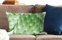 Kussenhoes 60x40 Cm - Barbarije Cactusblad Mintgroen - Katoen / Polyester - Voor Binnen -Pillowmonkey 1200x771 293