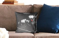 Sierkussens - Kussentjes Woonkamer - 40x40 Cm - Zwart-wit Foto Van Een Rode Lieveheersbeestje Op Een Plant -Pillowmonkey 1200x771 368