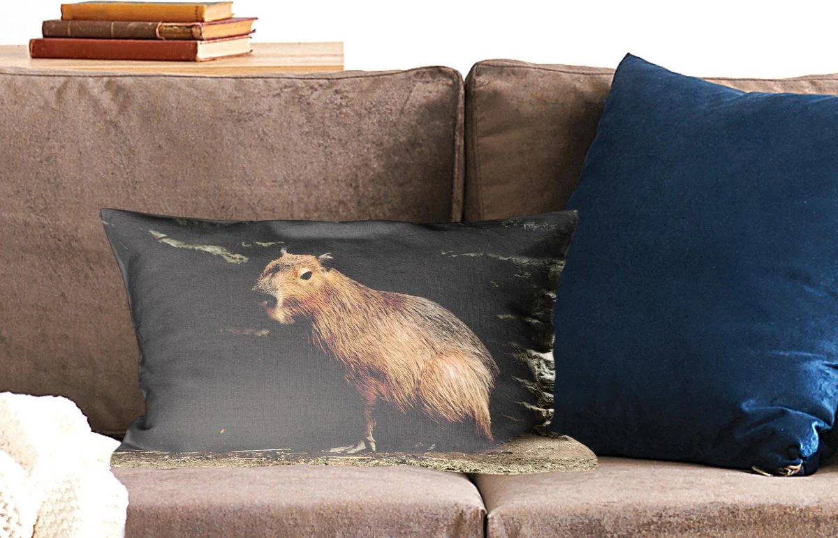 Sierkussens - Kussen - Een Capibara In Een Rotsachtige Omgeving - 50x30 Cm - Kussen Van Katoen 4 Sierkussens - Kussen - Een Capibara In Een Rotsachtige Omgeving - 50x30 Cm - Kussen Van Katoen - Afbeelding 2