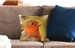 Sierkussens - Kussentjes Woonkamer - 40x40 Cm - Vogel - Roodborstje - Portret 9 Sierkussens - Kussentjes Woonkamer - 40x40 Cm - Vogel - Roodborstje - Portret -Pillowmonkey 1200x771 410