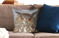 Sierkussens - Kussentjes Woonkamer - 45x45 Cm - Bruine Uil Met Lichtblauwe Achtergrond -Pillowmonkey 1200x771 543