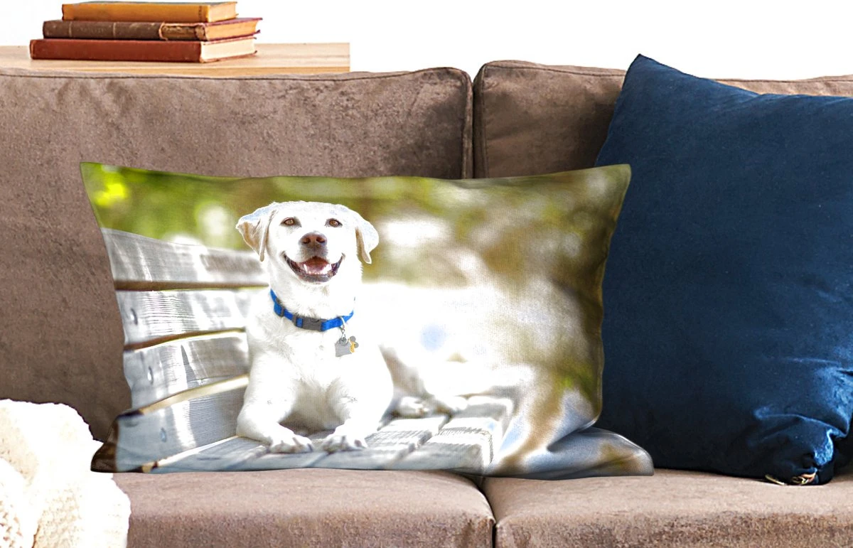 Sierkussen Honden Voor Binnen - Labrador Retriever Op Een Bankje - 60x40 Cm - Rechthoekig Binnenkussen Van Katoen 4 Sierkussen Honden Voor Binnen - Labrador Retriever Op Een Bankje - 60x40 Cm - Rechthoekig Binnenkussen Van Katoen - Afbeelding 2