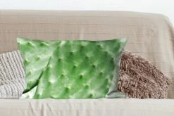 Kussenhoes 60x40 Cm - Barbarije Cactusblad Mintgroen - Katoen / Polyester - Voor Binnen -Pillowmonkey 1200x800 1022
