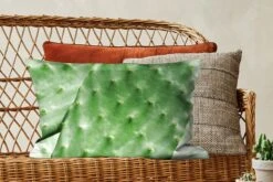 Kussenhoes 60x40 Cm - Barbarije Cactusblad Mintgroen - Katoen / Polyester - Voor Binnen -Pillowmonkey 1200x800 1023
