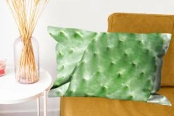Kussenhoes 60x40 Cm - Barbarije Cactusblad Mintgroen - Katoen / Polyester - Voor Binnen -Pillowmonkey 1200x800 1024