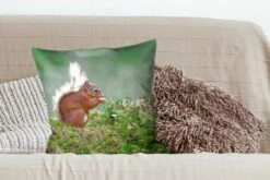 Kussenhoes 50x50 Cm - Eekhoorn - Bos - Mos - Katoen / Polyester - Voor Binnen -Pillowmonkey 1200x800 1083