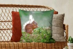 Kussenhoes 50x50 Cm - Eekhoorn - Bos - Mos - Katoen / Polyester - Voor Binnen -Pillowmonkey 1200x800 1084