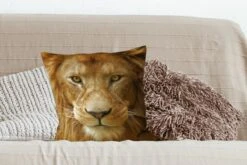 Kussenhoes 45x45 Cm - Portret - Afrika - Leeuw - Katoen / Polyester - Voor Binnen -Pillowmonkey 1200x800 1117