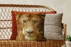 Kussenhoes 45x45 Cm - Portret - Afrika - Leeuw - Katoen / Polyester - Voor Binnen -Pillowmonkey 1200x800 1118