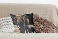 Kussenhoes 40x40 Cm - Baby Olifant Die Gevoed Wordt Door Zijn Moeder - Katoen / Polyester - Voor Binnen -Pillowmonkey 1200x800 1211