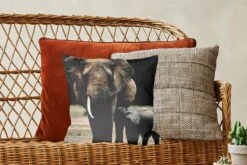 Kussenhoes 40x40 Cm - Baby Olifant Die Gevoed Wordt Door Zijn Moeder - Katoen / Polyester - Voor Binnen -Pillowmonkey 1200x800 1212