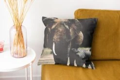 Kussenhoes 40x40 Cm - Baby Olifant Die Gevoed Wordt Door Zijn Moeder - Katoen / Polyester - Voor Binnen -Pillowmonkey 1200x800 1213
