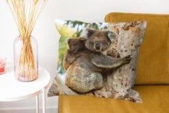 Kussenhoes 50x50 Cm - Koala's - Kind - Boom - Kinderen - Jongetje - Meiden - Katoen / Polyester - Voor Binnen -Pillowmonkey 1200x800 1231