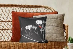 Sierkussens - Kussentjes Woonkamer - 40x40 Cm - Zwart-wit Foto Van Een Rode Lieveheersbeestje Op Een Plant -Pillowmonkey 1200x800 1327
